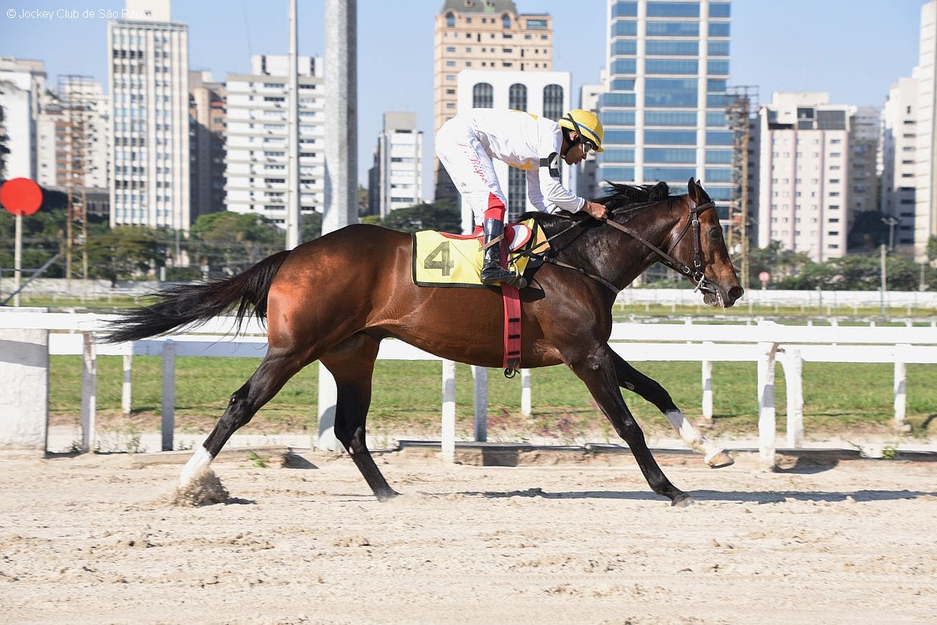 Lindstrom soma mais um ponto, em Cidade Jardim