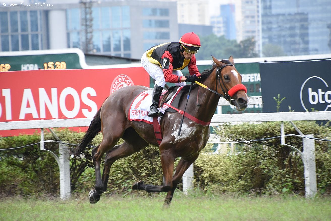 Perfect Plastic esbanja categoria na XXXII Copa Japão de Turfe (G3)