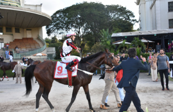 Festival do Grande Prêmio Sâo Paulo 2022