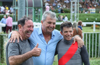 Festival do GPSP 2026