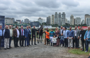 Festival do GPSP 2026